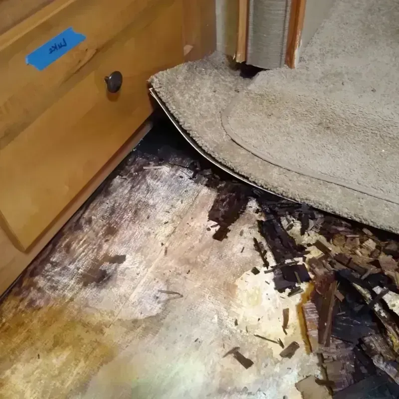 Wood Floor Water Damage in Saint Joseph County, IN